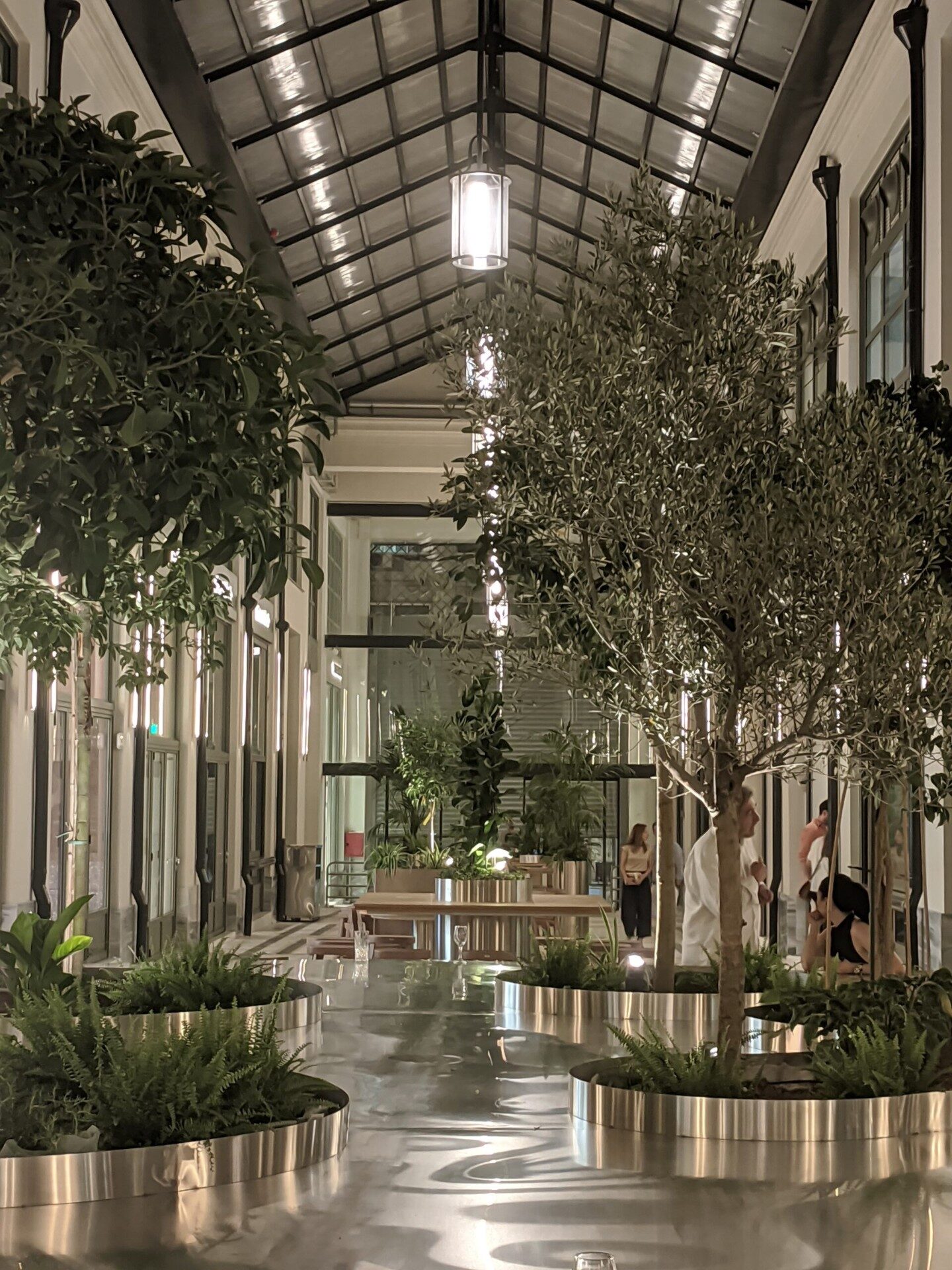 Arsakeio Megaro Renovation & ΣΤΟΑ Food Hall — Glazed arcade roof and olive trees at night